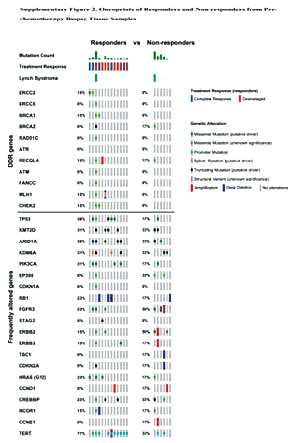 319-320期（完成）-43.jpg