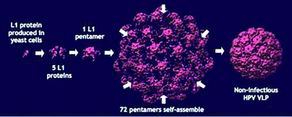 339-340期(完成)-75.jpg 339-340期(完成)-75.jpg