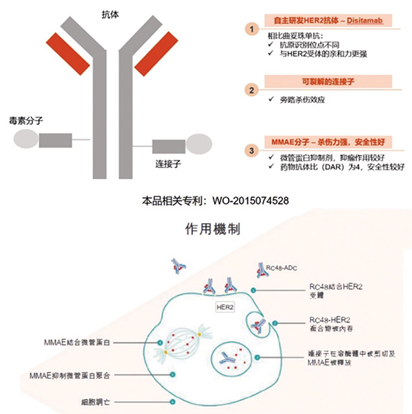 341-342期（完成）-48.jpg