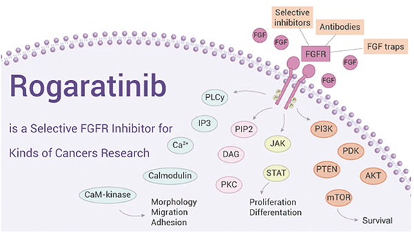 361-362期（完成）-42.jpg