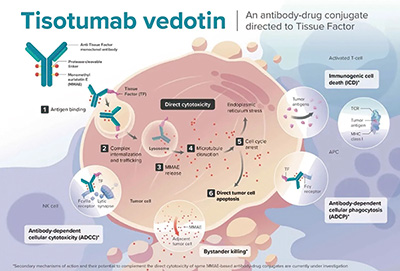 385-386期(完成)-113-.jpg