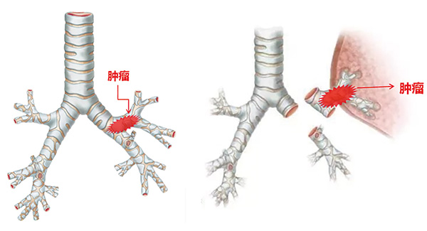 391-392期(完成)-11-.jpg 391-392期(完成)-11-.jpg