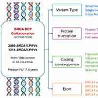 年轻乳腺癌 ​BRCA1/2基因突变类型与患者表型和预后的关系