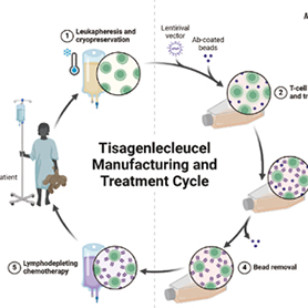 复发/难治LBCL tisagenlecleucel治疗患者5年生存结局好
