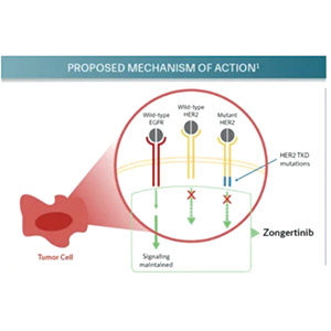 HER2突变的晚期或转移性NSCLC 一线应用宗艾替尼持续有效且不良事件以低级别为主