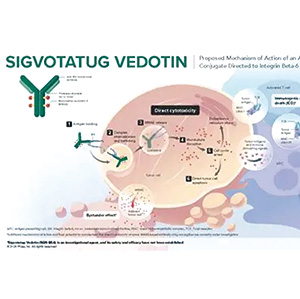 后线治疗晚期NSCLC sigvotatug vedotin或有应用前景